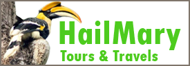 Site Logo